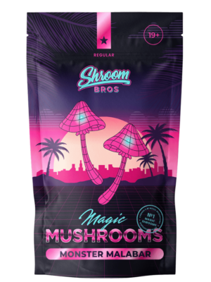 Monster Malabar Magic Mushroom